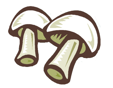 Mushroom graphics