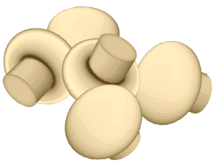 Mushroom graphics