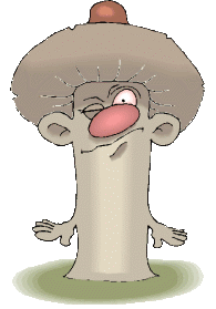 Mushroom graphics