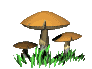Mushrooms graphics