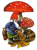 Mushrooms graphics