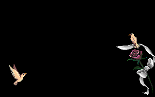 Names blank graphics