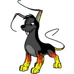 Neopets glitter graphics