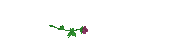 Nice graphics