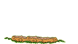 Nice graphics