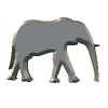 Objects graphics