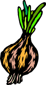 Onion graphics