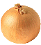 Onion graphics