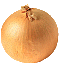 Onion