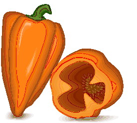 Orange graphics