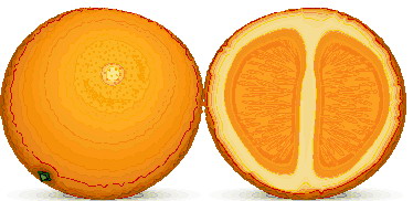 Orange graphics