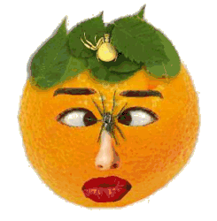 Oranges