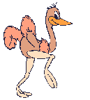 Ostrich graphics