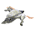 Other graphics