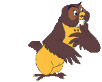 Owls graphics