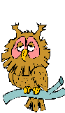 Owls graphics