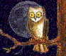 Owls graphics