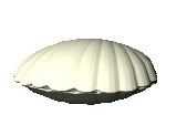 Oysters graphics