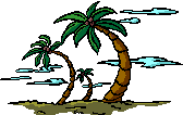 Palm trees graphics