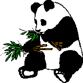 Panda with bamboo animal