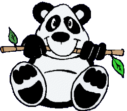 Panda graphics