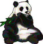 Panda graphics