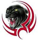 Panther graphics