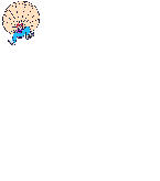 Parachute graphics