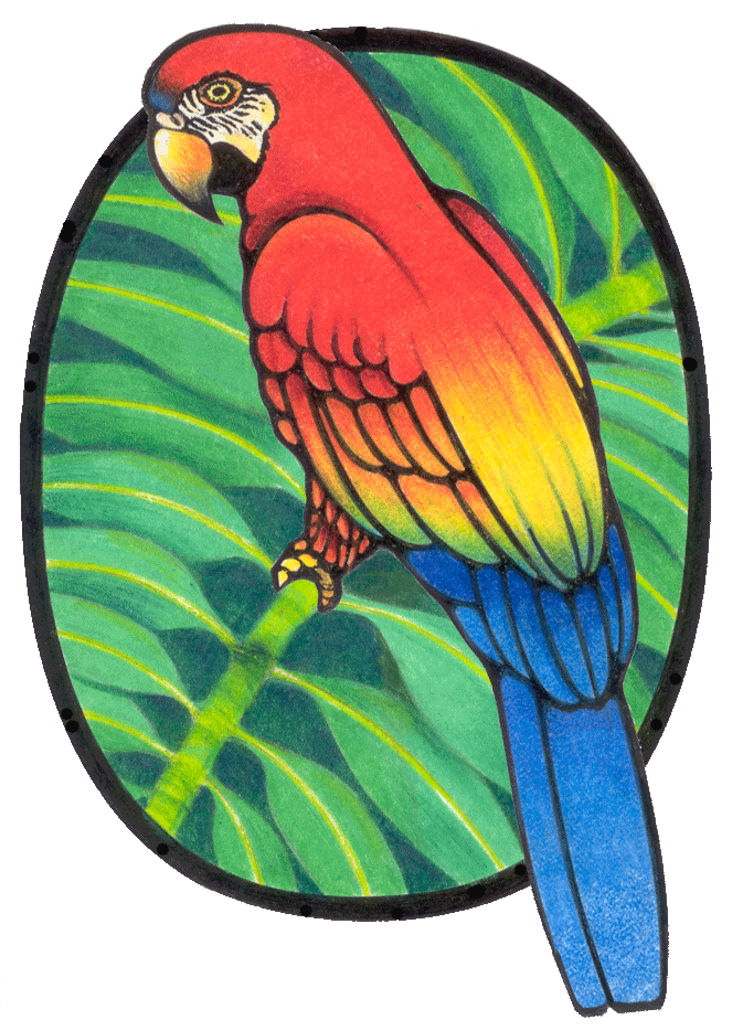 Parrot graphics