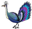 Peacock graphics