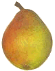 Pear graphics