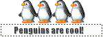 Penguins graphics