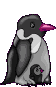Penguins graphics