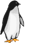 Penguins graphics