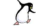 Penguins graphics