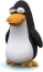 Penguins graphics