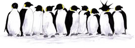 Penguins graphics