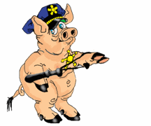 Pigs graphics