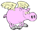 Pigs graphics