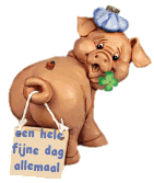 Pigs graphics