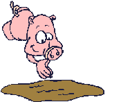Pigs graphics