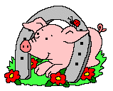 Pigs graphics