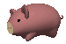 Pigs graphics