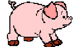 Pigs graphics