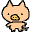 Pigs graphics