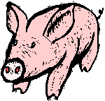 Pigs graphics