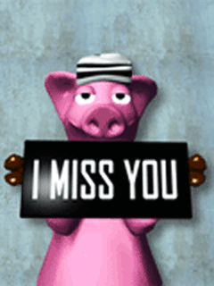 Pigs graphics