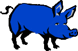 Pigs graphics