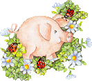 Pigs graphics