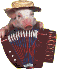 Pigs graphics